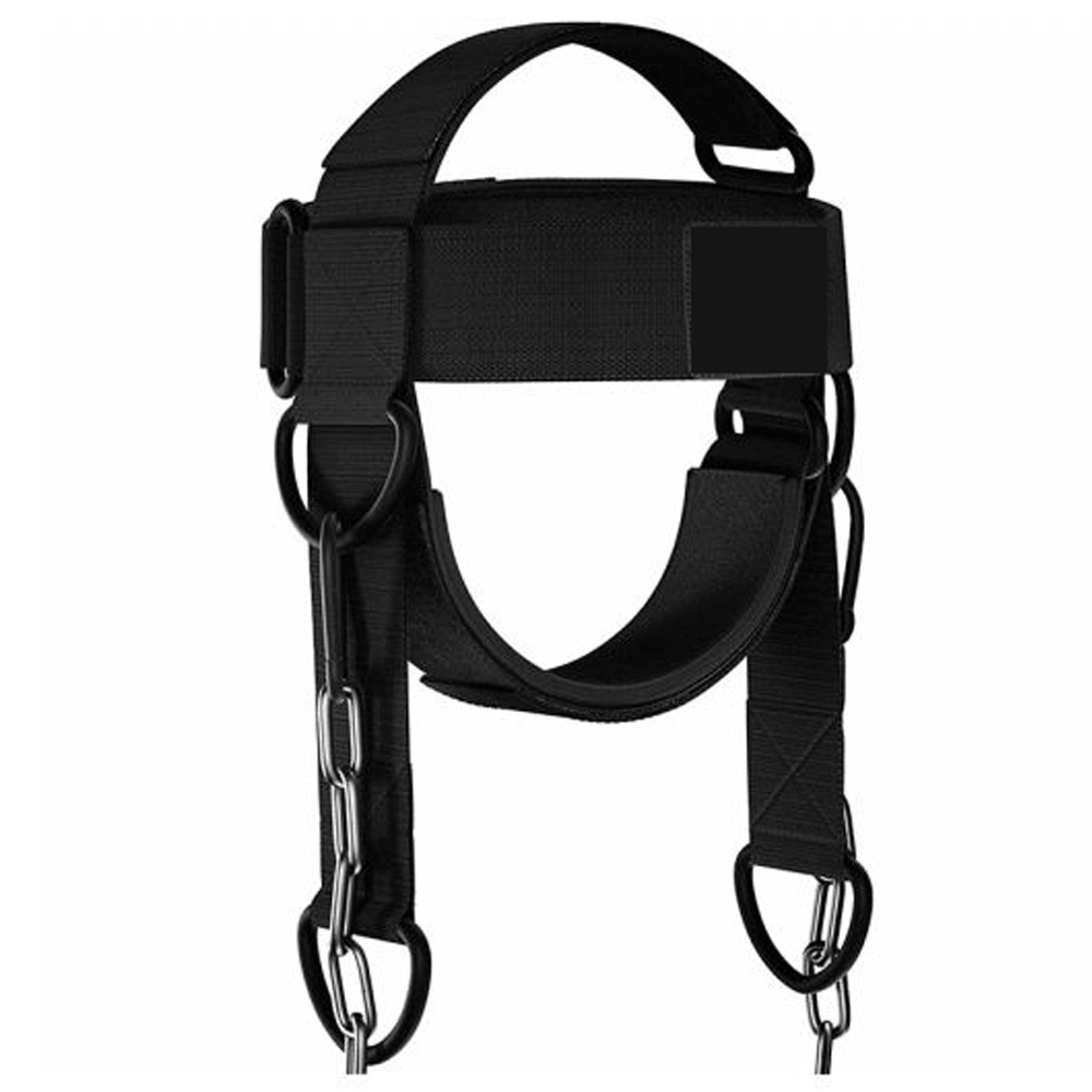 Head Harness