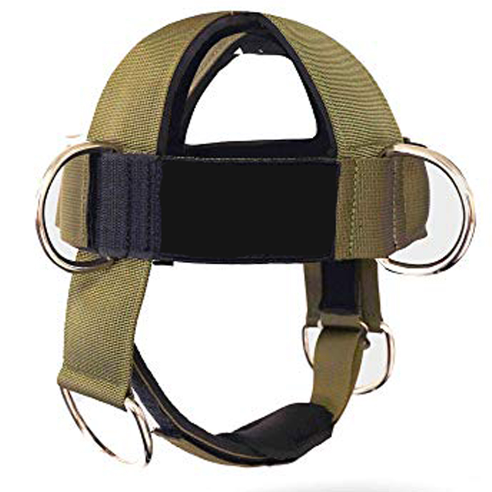 Head Harness